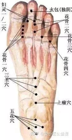 五虎一穴|董氏奇穴入门 （纯干货建议收藏）